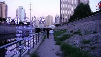 静静望着你-苑国杰