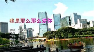 我是那么那么爱你-龙东海