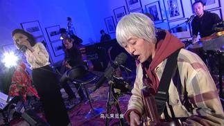 森林里的一棵树-河乐队&安娜[女]&小河