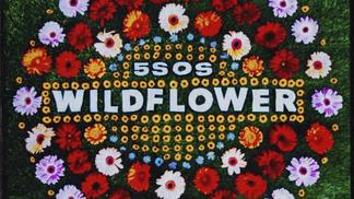 Wildflower-5 Seconds of Summer