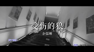 受了伤的狼-余儒刚