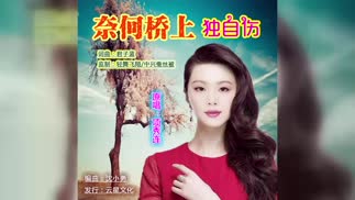 奈何桥上独自伤（女声）