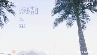 迟来的告白-宋秉洋