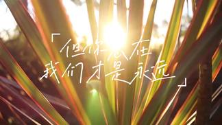 但你总在我们才是永远-小咪