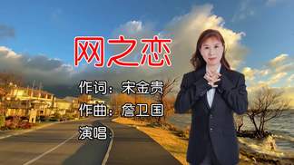 网之恋（女版）-宋金贵
