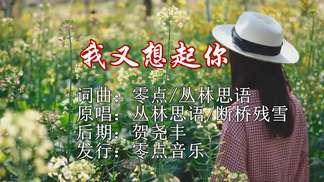 我又想起你（对唱）-丛林思语&断桥残雪