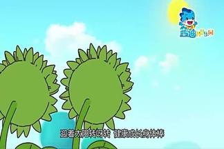 阳光下的向日葵-蓝迪[智慧乐园]