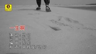 一生啊封面