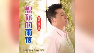 想你的雨夜