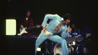 Hound Dog