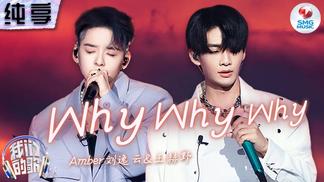 Why Why Why-刘逸云 Amber Liu&王赫野