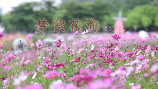 梦萦花海（对唱版）-谜爱.&汪志祥