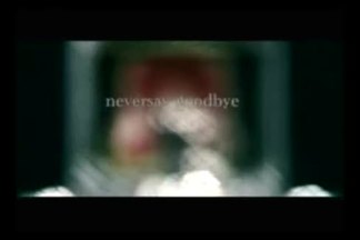 Never Say Good Bye-Mario[韩]&Nasty