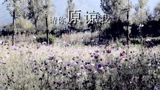 请你原谅我-尔古阿体