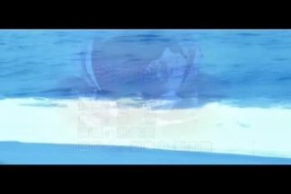 哭泣的玫瑰