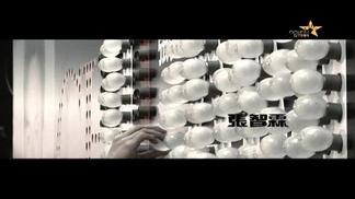 巨星之路-张智霖