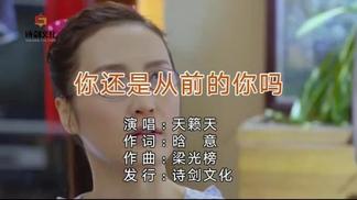 你还是从前的你吗封面