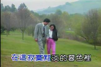 走在雨中-齐豫