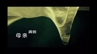 母亲-龚玥