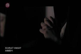 Scarlet Knight-水樹奈々