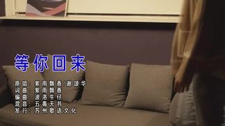 等你回来封面