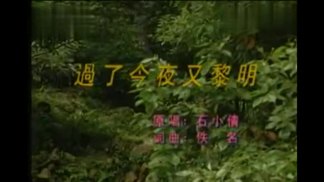 过了今夜又黎明-石小倩