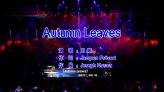 Autumn Leaves-王晰