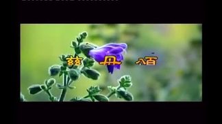 慈母颂-降央卓玛
