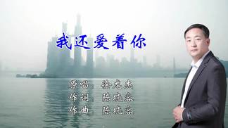 我还爱着你-徐龙杰