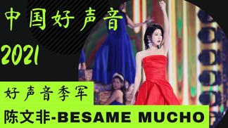Bésame Mucho-陈文非