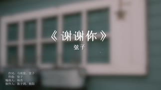 谢谢你-弦子