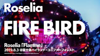 FIRE BIRD-Roselia