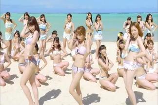 ラブラドール·レトリバー(拉布拉多寻回犬)-AKB48