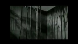这是我的爱