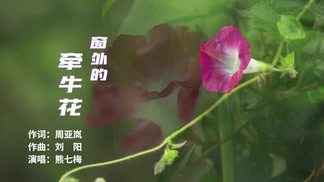窗外的牵牛花-熊七梅