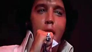 Hound Dog-Elvis Presley