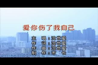 爱你伤了我自己-沈世爱