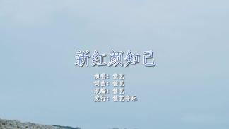 红颜知己 （和声原版）-佳艺