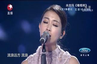 橄榄树