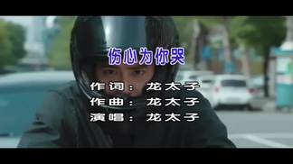 伤心为你哭 (cover: 珊爷)-龙太子