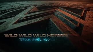 World We Used To Know-Alan Walker&Winona Oak