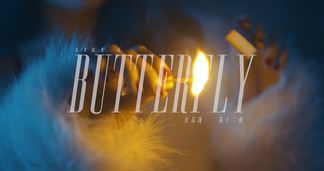 第十二夜 Like A Butterfly封面
