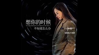 想你的时候不知道怎么办-付海燕