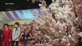 世界に一つだけの花-SMAP