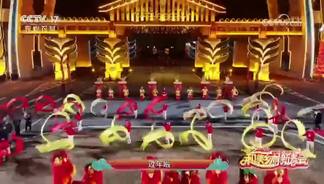 天南地北过大年-黄晓娟&刘惠&井胧&井迪儿&吕薇&刘和刚&降央卓玛&张英席&来喜&刘媛媛