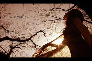 Sous Les Branches