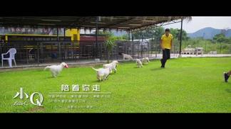 陪着你走-邓小巧