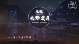 光辉岁月封面