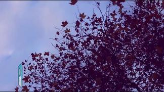 孤芳自赏-李海强