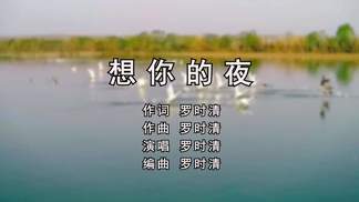 想你的夜-罗时清